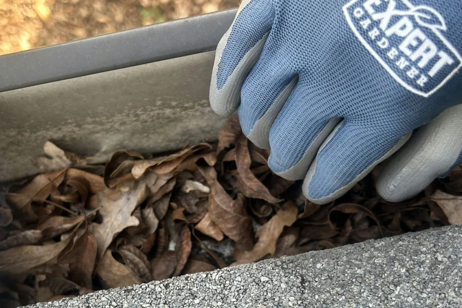 Gutter Cleaning Ridgeville