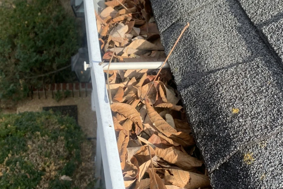 Gutter Cleaning Ridgeville