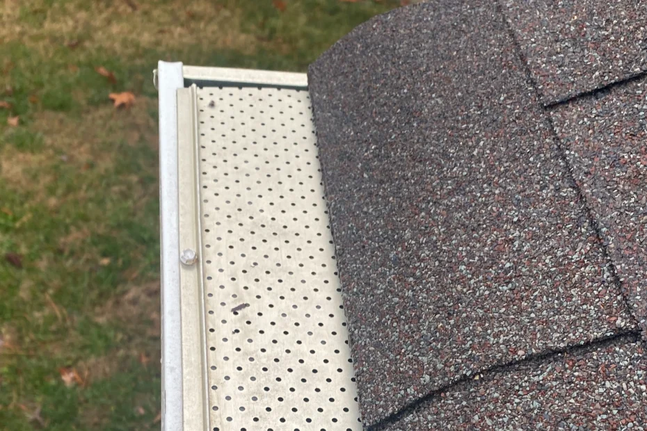 Gutter Cleaning Ridgeville