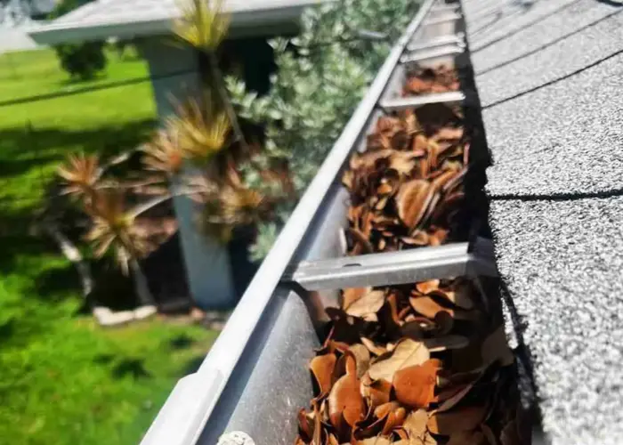 Gutter Cleaning Ridgeville home page